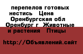 перепелов готовых нестись › Цена ­ 130 - Оренбургская обл., Оренбург г. Животные и растения » Птицы   